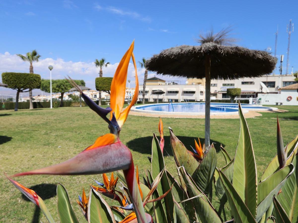 001 - Altomar Ii 001 - Comfortholidays * Gran Alacant